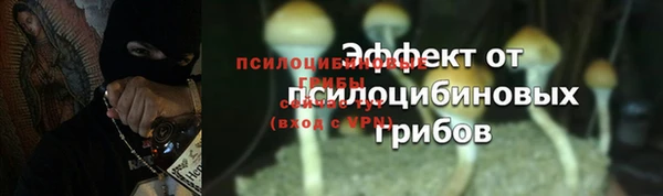 мяу мяу кристалл Медвежьегорск