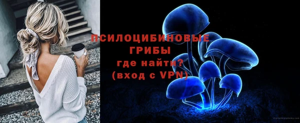 spice Медногорск