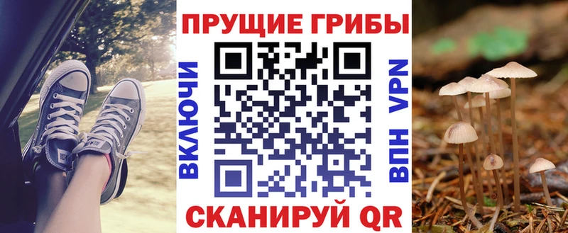 Галлюциногенные грибы Psilocybine cubensis купить Отрадная
